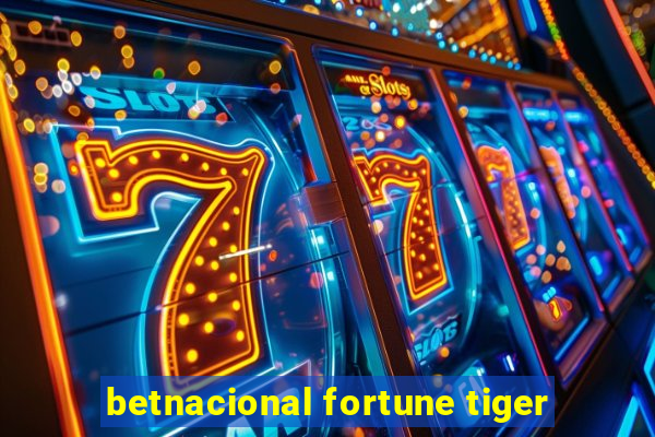 betnacional fortune tiger