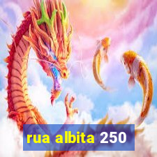 rua albita 250