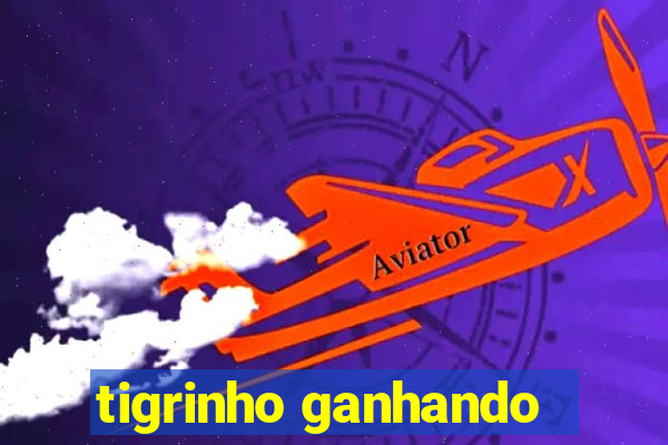 tigrinho ganhando