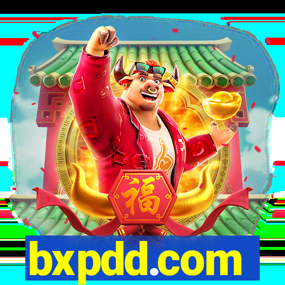 bxpdd.com