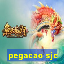 pegacao sjc