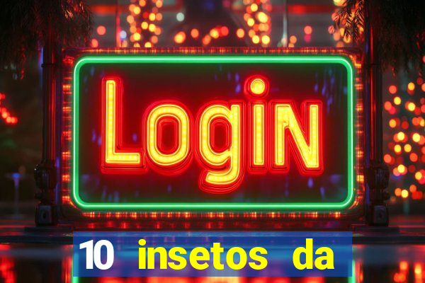 10 insetos da região sudeste