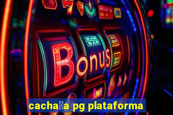 cacha莽a pg plataforma