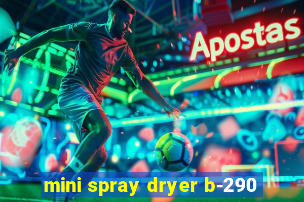 mini spray dryer b-290