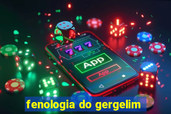 fenologia do gergelim