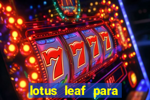 lotus leaf para que serve