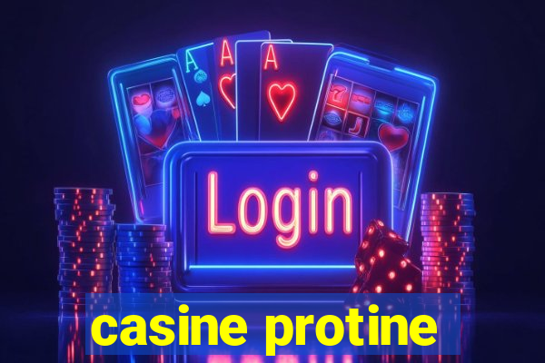 casine protine