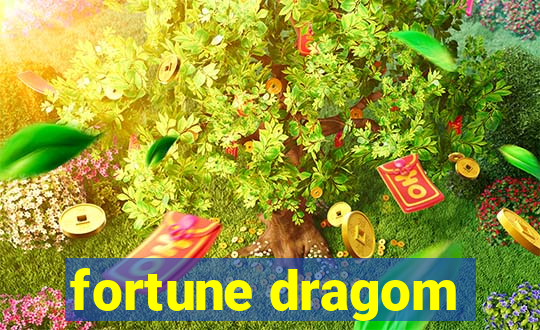 fortune dragom