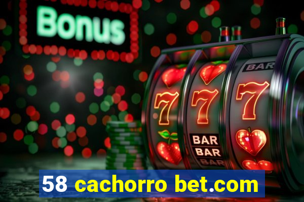 58 cachorro bet.com