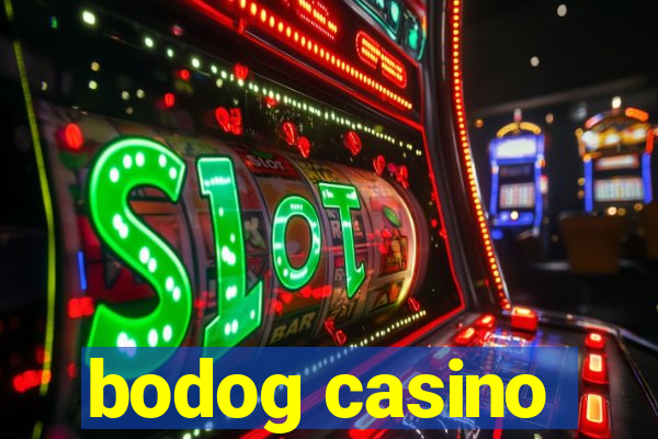 bodog casino