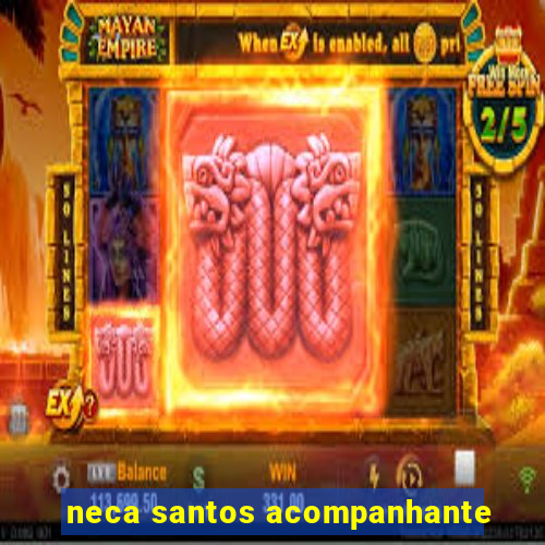 neca santos acompanhante