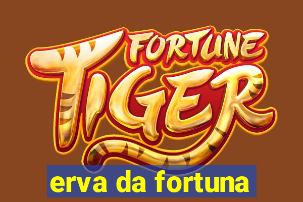 erva da fortuna