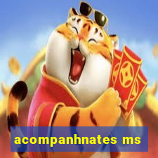 acompanhnates ms