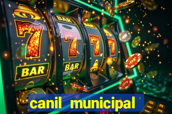 canil municipal porto alegre