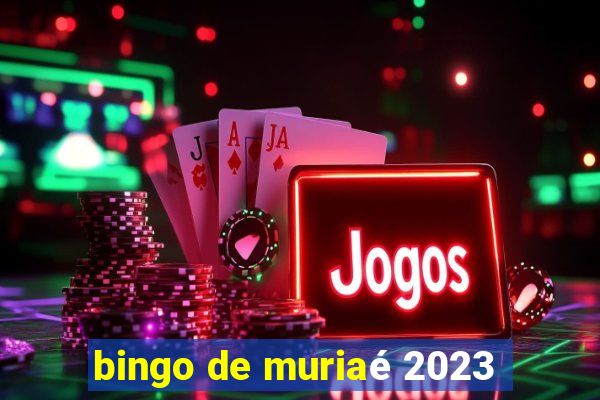 bingo de muriaé 2023