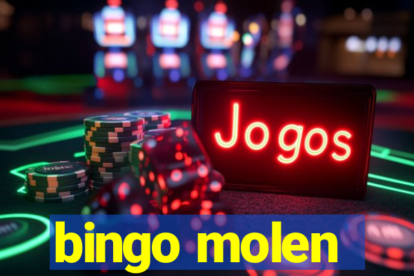 bingo molen