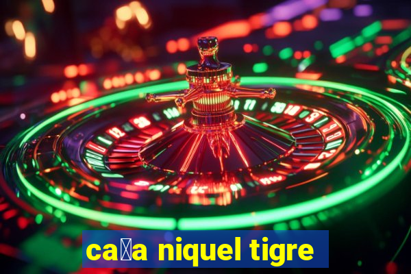 ca莽a niquel tigre