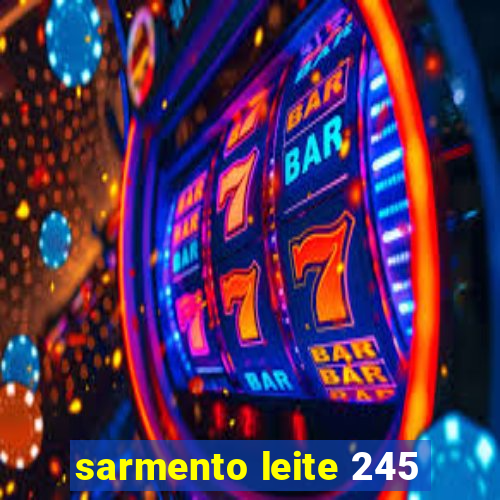 sarmento leite 245