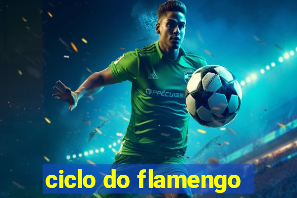 ciclo do flamengo