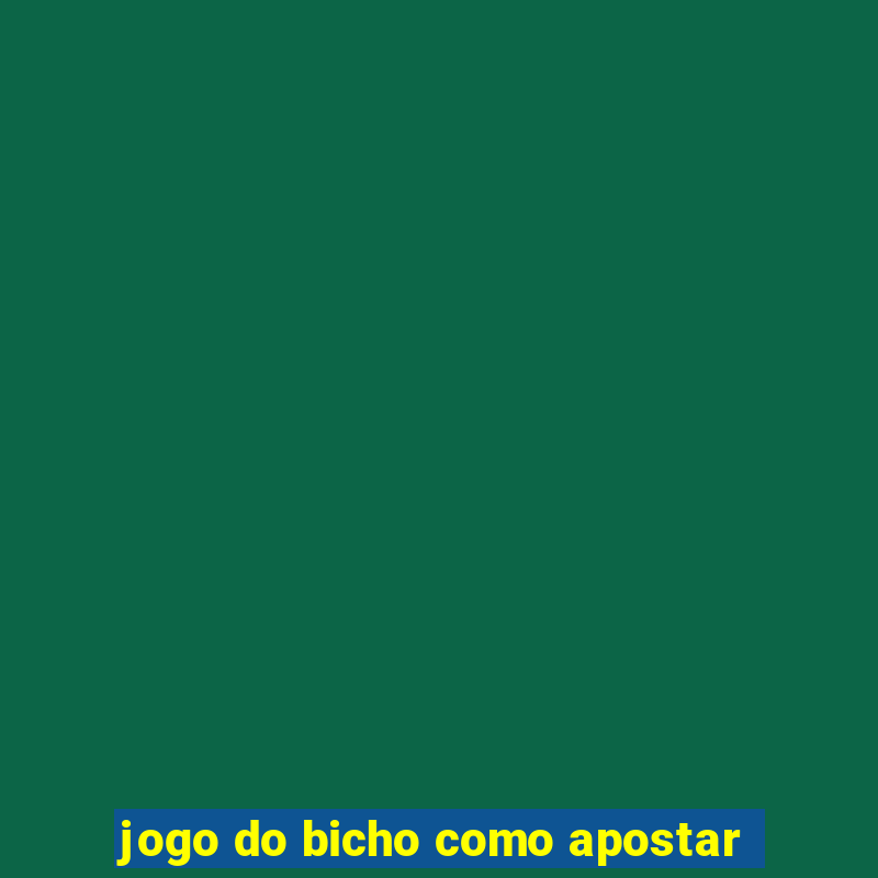 jogo do bicho como apostar