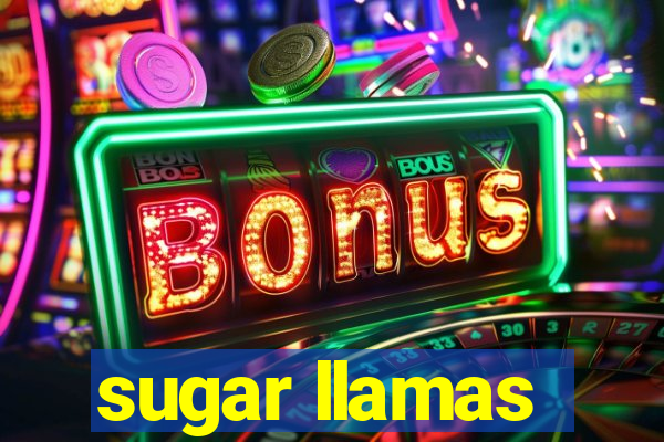 sugar llamas