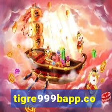 tigre999bapp.com