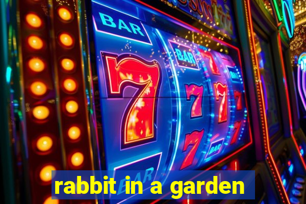 rabbit in a garden