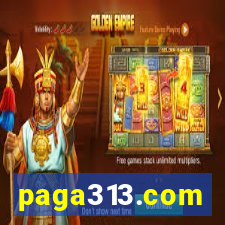 paga313.com