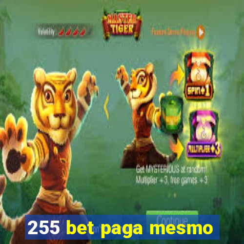 255 bet paga mesmo