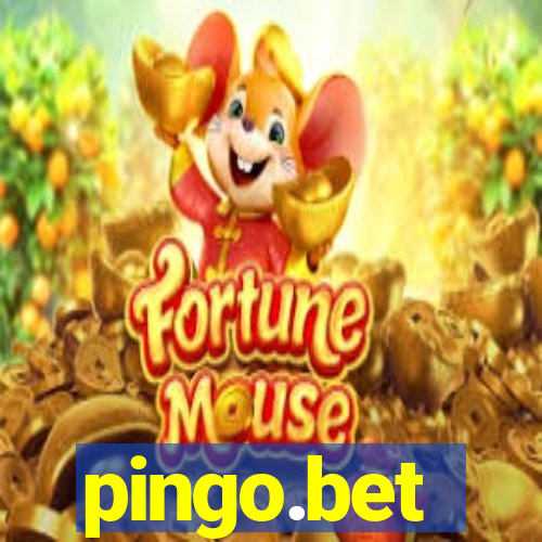 pingo.bet