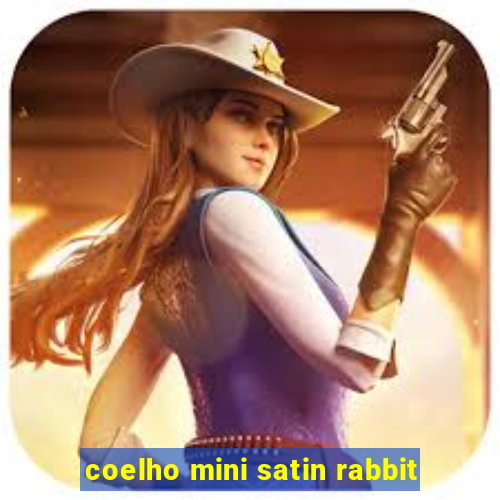 coelho mini satin rabbit