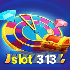 slot 313