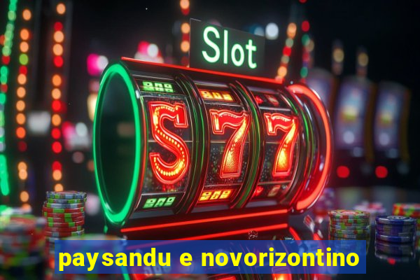 paysandu e novorizontino