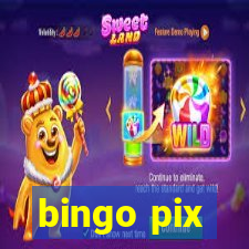 bingo pix