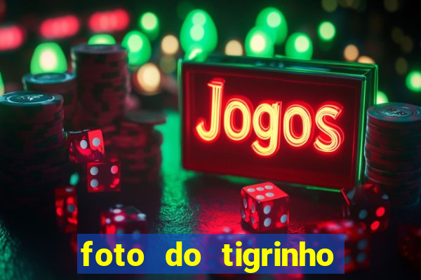 foto do tigrinho do jogo