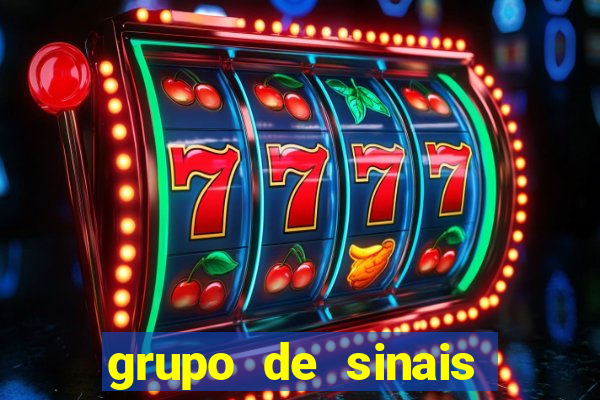 grupo de sinais fortune rabbit