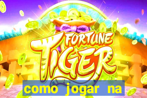 como jogar na teimosinha da lotofacil