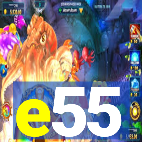 e55