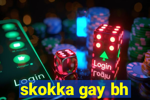 skokka gay bh