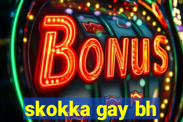 skokka gay bh