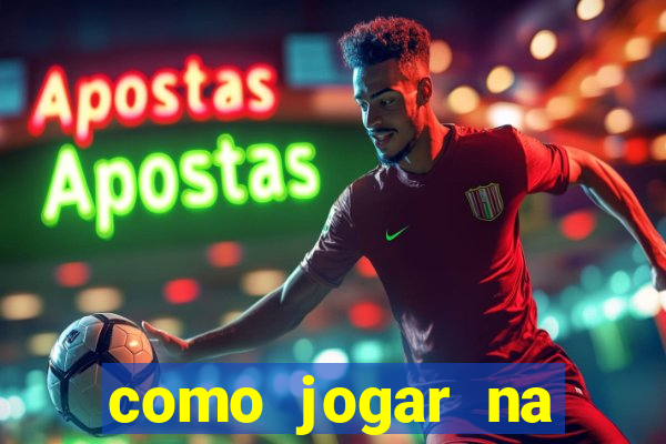 como jogar na lotinha do jogo do bicho