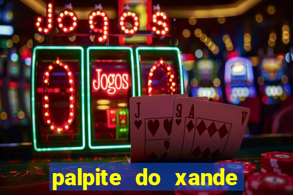 palpite do xande para hoje