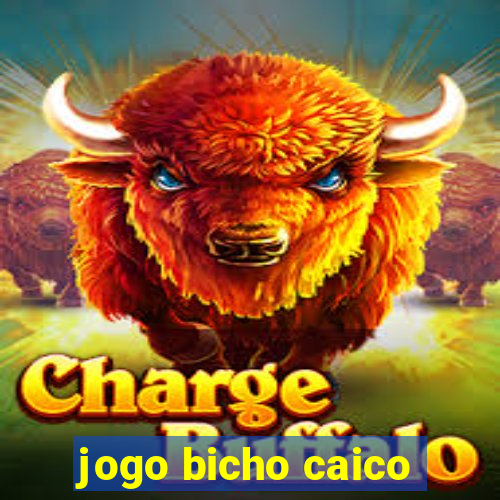 jogo bicho caico