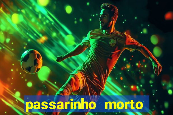 passarinho morto significado espiritual