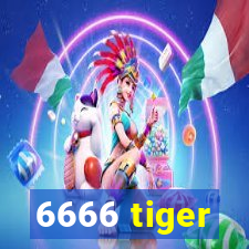 6666 tiger