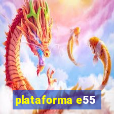 9096