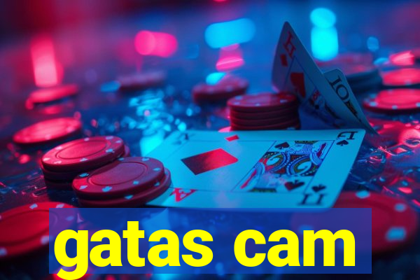 gatas cam