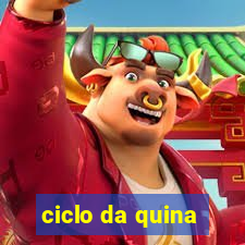 ciclo da quina