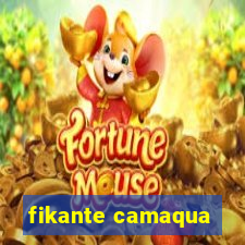 fikante camaqua