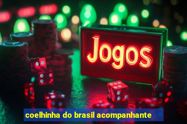 coelhinha do brasil acompanhante